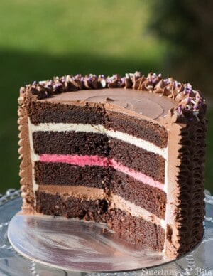 Devil's food cake with Neapolitan filling