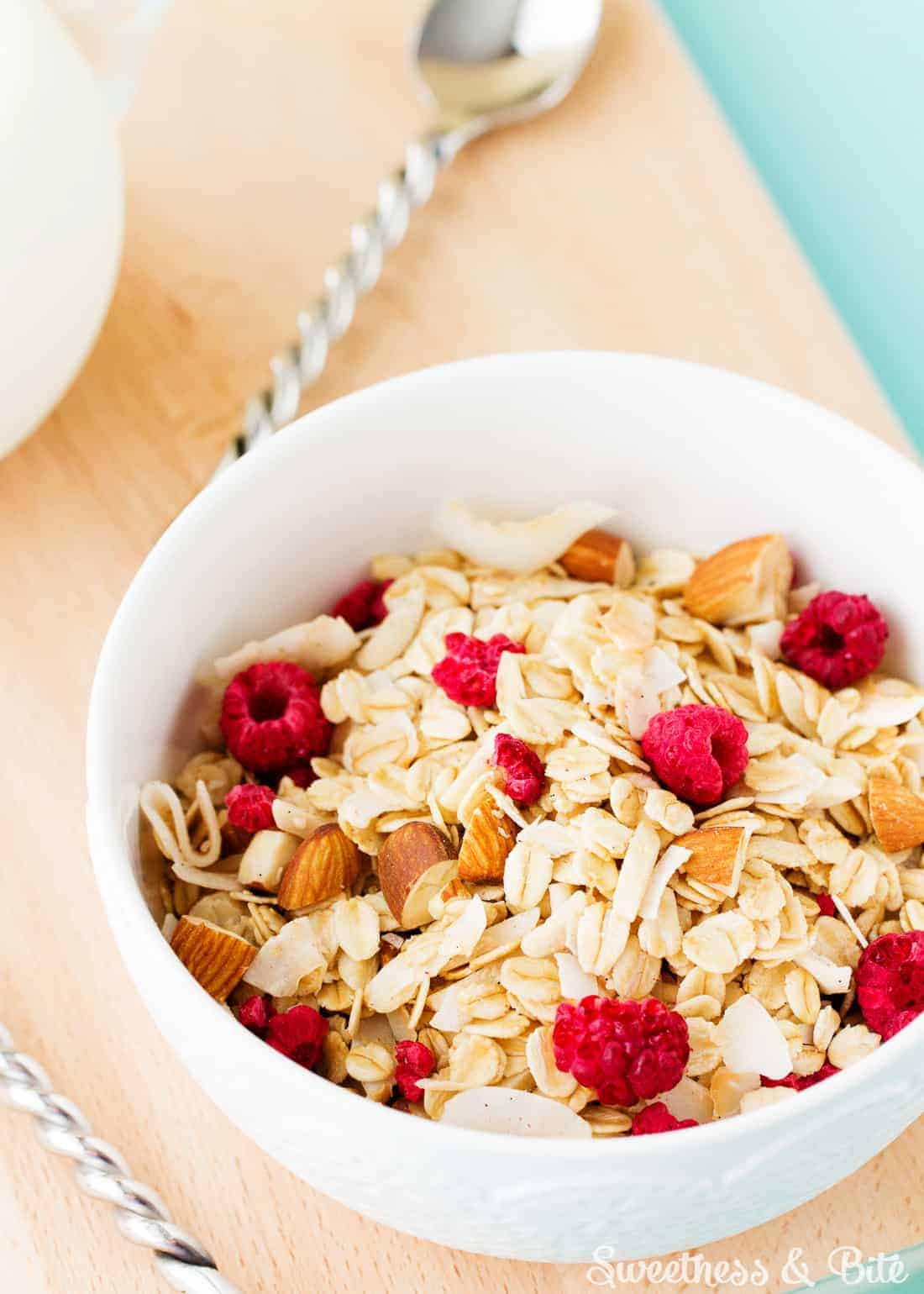 Raspberry Yogurt Cereal Bowl