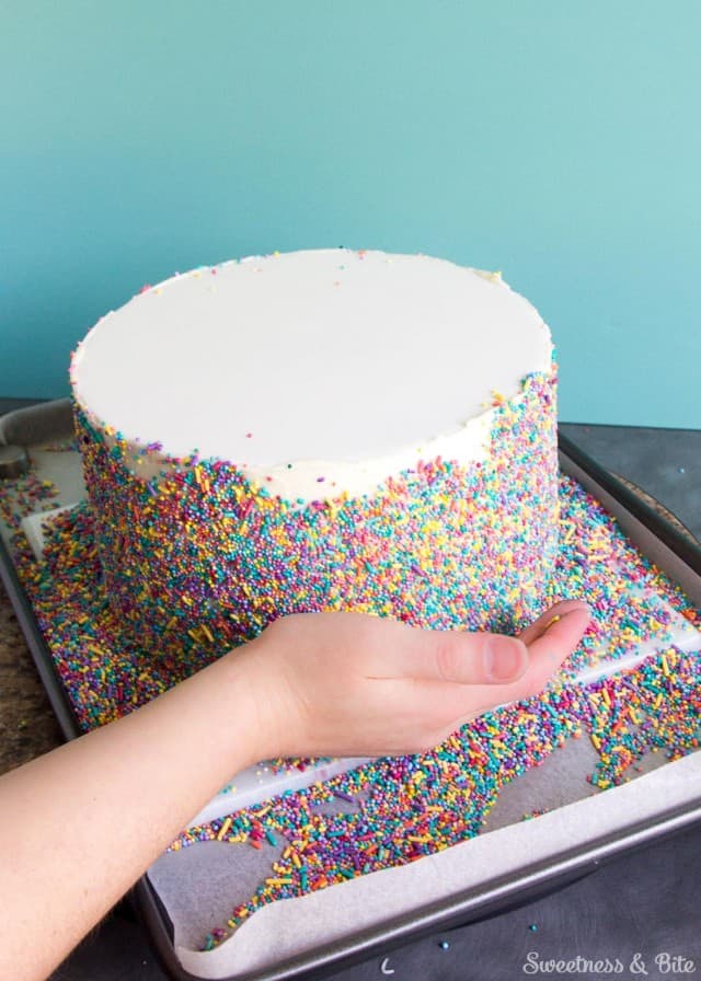 Sprinkle Cake Tutorial - Sweetness and Bite