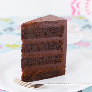 Gluten Free Mud Cake ~ Sweetness & Bite