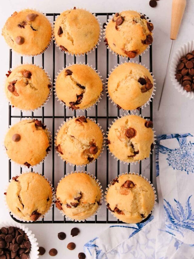 12 chocolate chip muffins in rows on a black metal cooling rack, with a blue and white napkin and a scattered chocolate chips.