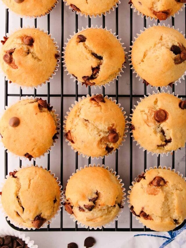 Gluten Free Chocolate Chip Muffins